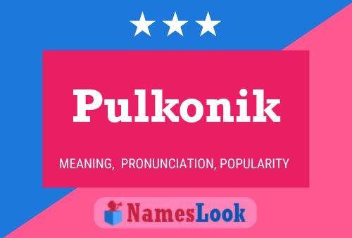 Póster del nombre Pulkonik