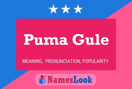 Póster del nombre Puma Gule