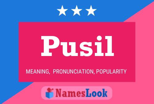 Póster del nombre Pusil