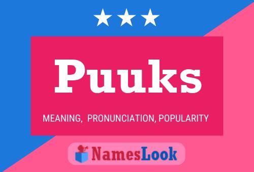 Póster del nombre Puuks