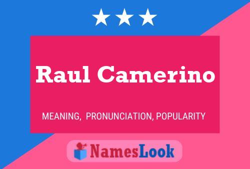 Póster del nombre Raul Camerino