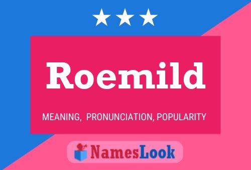 Póster del nombre Roemild