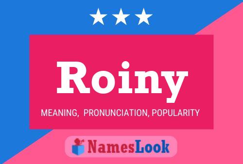 Póster del nombre Roiny