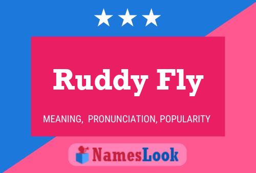 Póster del nombre Ruddy Fly