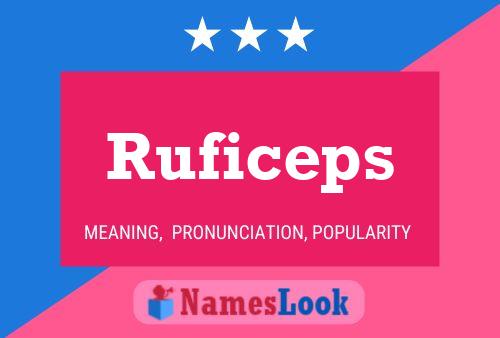 Póster del nombre Ruficeps