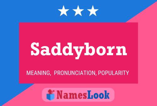 Póster del nombre Saddyborn