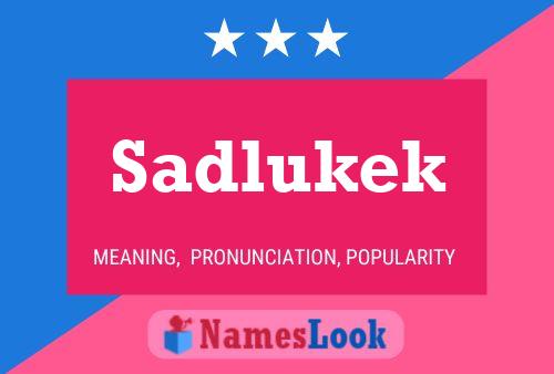 Póster del nombre Sadlukek