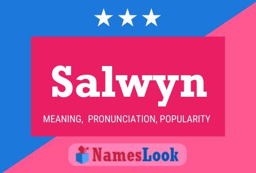 Póster del nombre Salwyn