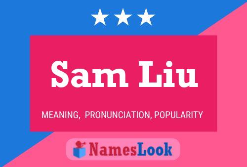 Póster del nombre Sam Liu