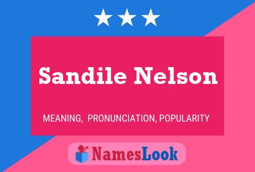 Póster del nombre Sandile Nelson