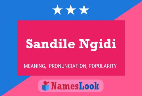 Póster del nombre Sandile Ngidi