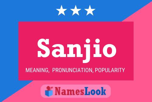 Póster del nombre Sanjio