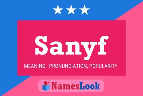 Póster del nombre Sanyf