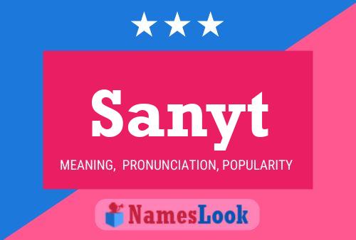 Póster del nombre Sanyt