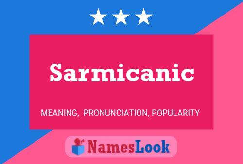 Póster del nombre Sarmicanic