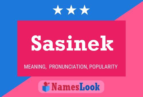 Póster del nombre Sasinek