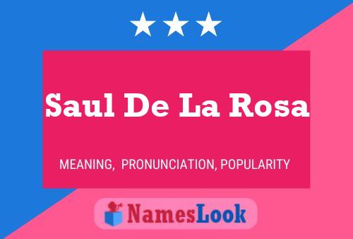 Póster del nombre Saul De La Rosa