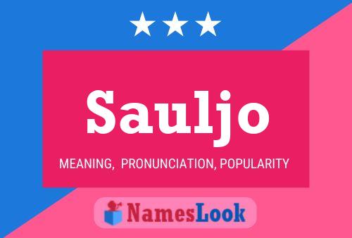 Póster del nombre Sauljo