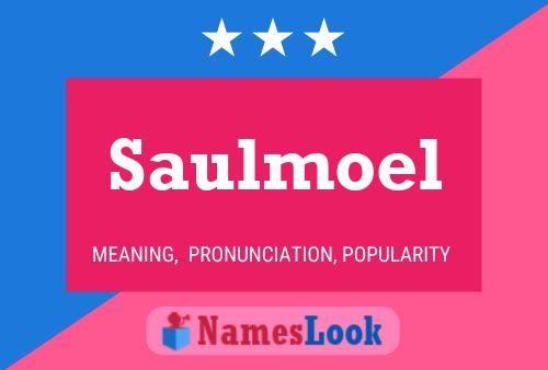 Póster del nombre Saulmoel