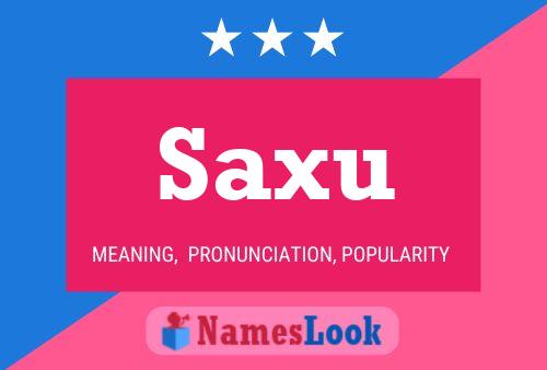 Póster del nombre Saxu