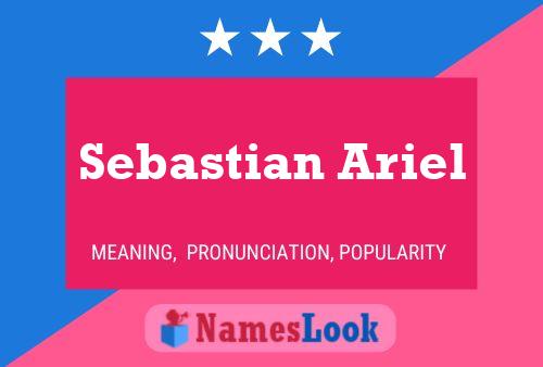 Póster del nombre Sebastian Ariel