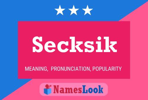 Póster del nombre Secksik