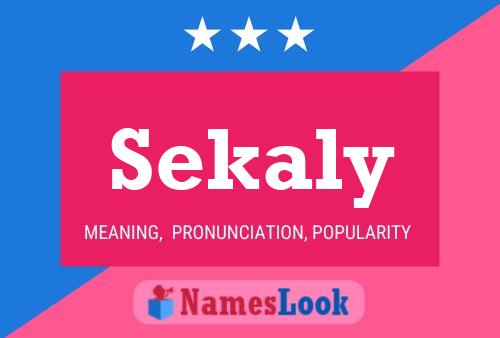 Póster del nombre Sekaly