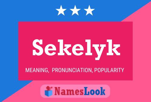 Póster del nombre Sekelyk