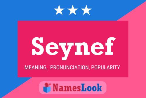 Póster del nombre Seynef