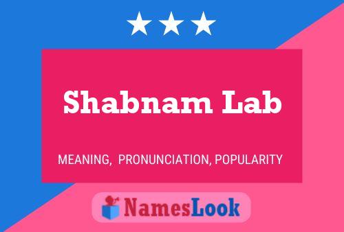 Póster del nombre Shabnam Lab