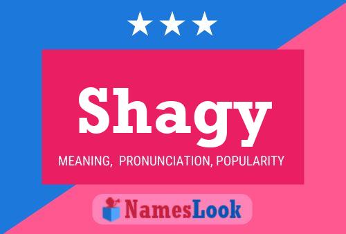 Póster del nombre Shagy