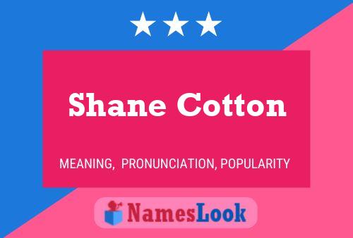 Póster del nombre Shane Cotton