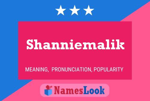 Póster del nombre Shanniemalik