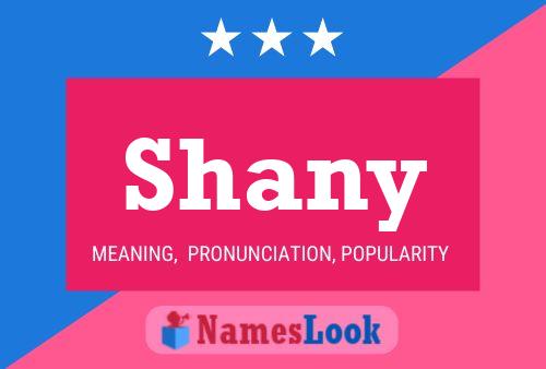 Póster del nombre Shany