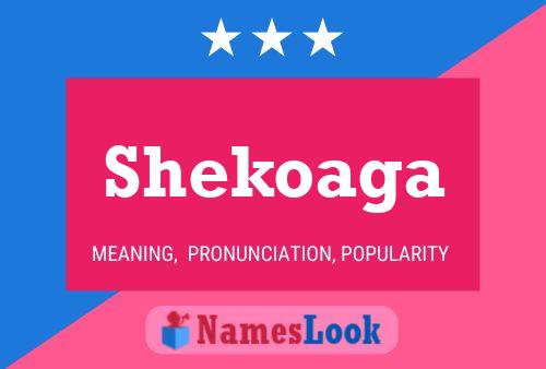 Póster del nombre Shekoaga