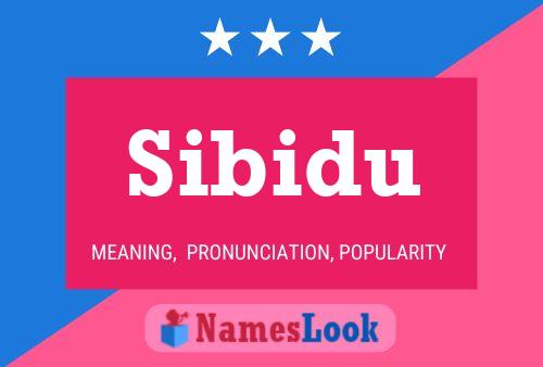 Póster del nombre Sibidu