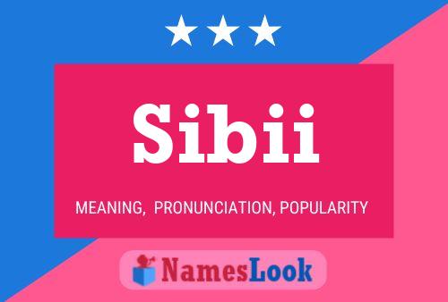 Póster del nombre Sibii