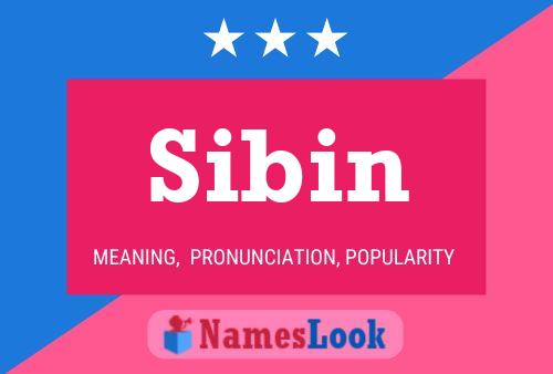 Póster del nombre Sibin