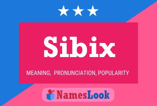 Póster del nombre Sibix