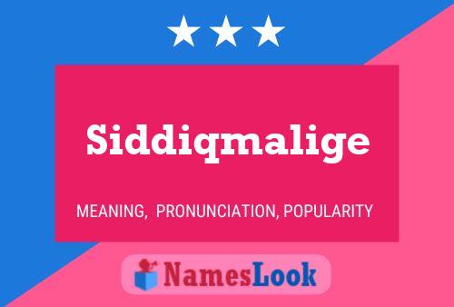 Póster del nombre Siddiqmalige