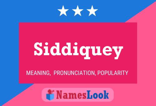 Póster del nombre Siddiquey