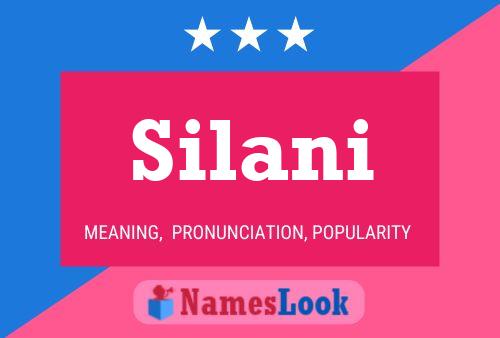 Póster del nombre Silani