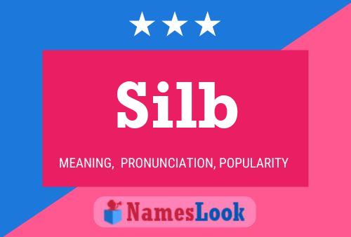 Póster del nombre Silb