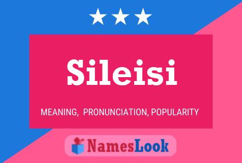 Póster del nombre Sileisi