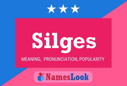 Póster del nombre Silges