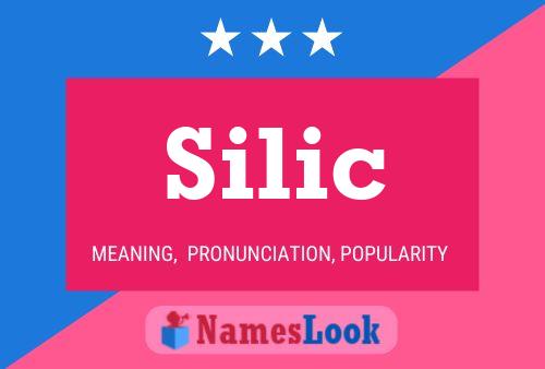 Póster del nombre Silic