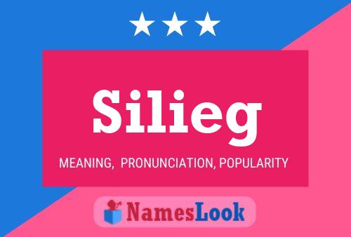 Póster del nombre Silieg