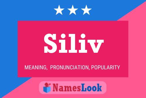 Póster del nombre Siliv