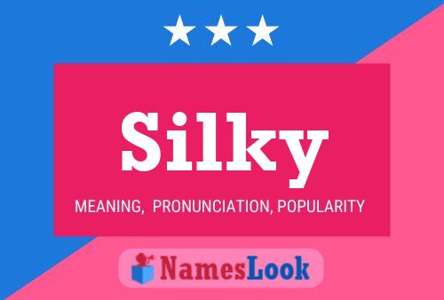 Póster del nombre Silky