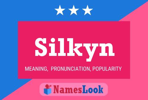 Póster del nombre Silkyn